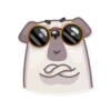 Water Pug 18