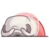 Water Pug 19