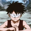 ༊*·˚ monkey D luffy 23