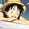 ༊*·˚ monkey D luffy 25