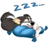 Huscai the Husky 28