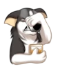 Huscai the Husky 29