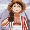 ༊*·˚ monkey D luffy 29