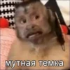 | 27