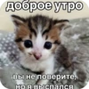 Китики KB_Wing 6