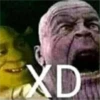 XD