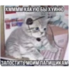 Китики KB_Wing 7