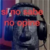 si no sabe no opise