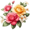 Цветы, розы и многое другое 6