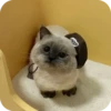 Kitty😻 7