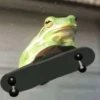 Frog for Masha 5