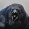 Corvus 8