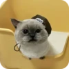 Kitty😻 8