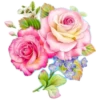 Цветы, розы и многое другое 7