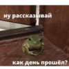 Frog for Masha 6