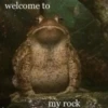 Frog for Masha 7