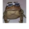 Frog for Masha 10
