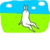 Rabbit With Beautiful Legs :: 13