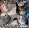 Китики KB_Wing 13