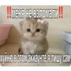 Китики KB_Wing 14