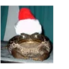 Frog for Masha 16