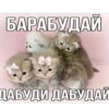 Китики KB_Wing 15