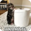 Китики KB_Wing 16