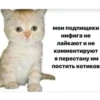 Китики KB_Wing 17