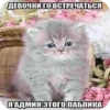 Китики KB_Wing 20