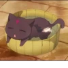 KonoSuba 12