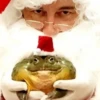 Frog for Masha 19