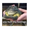 Frog for Masha 20