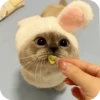 Kitty😻 13