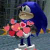 Sonic_LOL 18