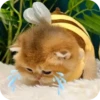 Kitty😻 14