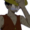 Monkey.d.luffy 13