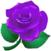 Цветы, розы и многое другое 16