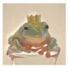 Frog for Masha 21