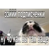 Китики KB_Wing 21