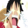 Monkey.d.luffy 15
