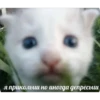 Китики KB_Wing 22