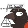 Corvus 17