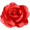 Цветы, розы и многое другое 18
