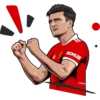 Manchester United official stickers 20