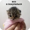 Китики KB_Wing 24