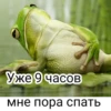 Frog for Masha 23