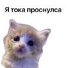 Китики KB_Wing 25