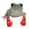 Frog for Masha 24