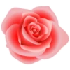 Цветы, розы и многое другое 21