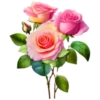 Цветы, розы и многое другое 22